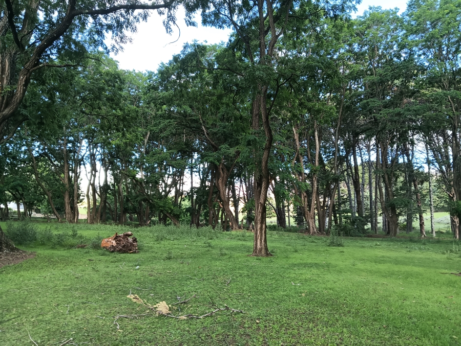 0 Bedroom Property for Sale in Rhodes Eastern Cape